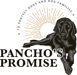 Pancho's Promise